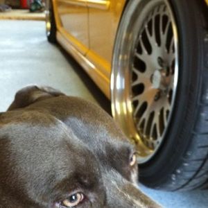 Meet your Posher, Andrew